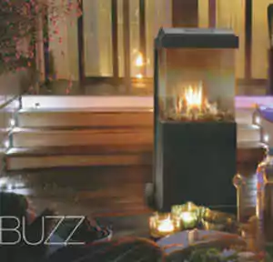 bio-ethanol_thebuzz